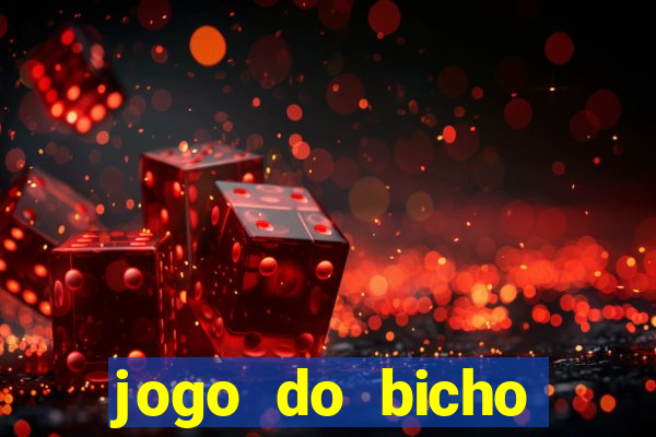 jogo do bicho crash bingo